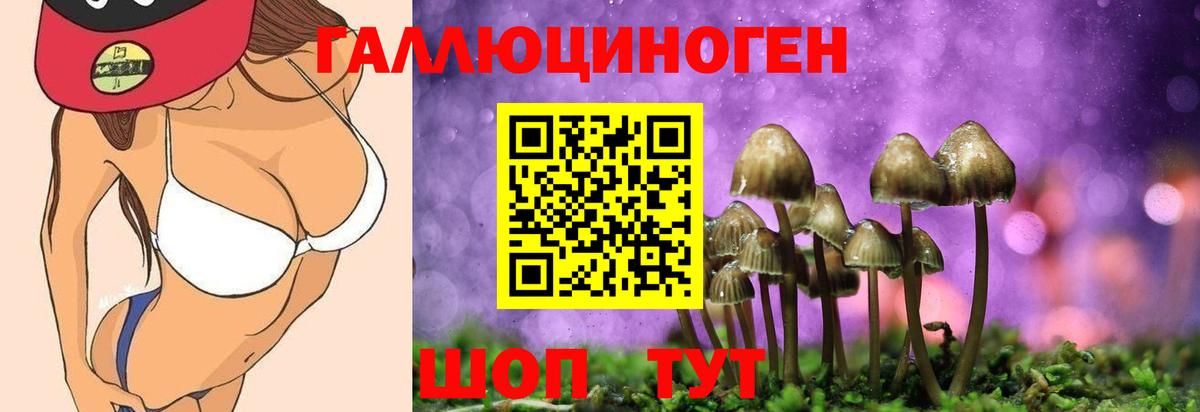 Псилоцибиновые грибы Psilocybe Саров